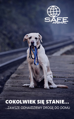 https://www.safe-animal.eu/files/download/banery/dog/jpg/safe-animal-250x400.jpg